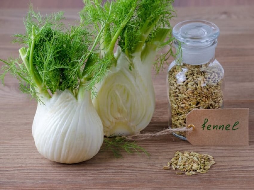 Benefits fennel for health