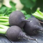Black Radish