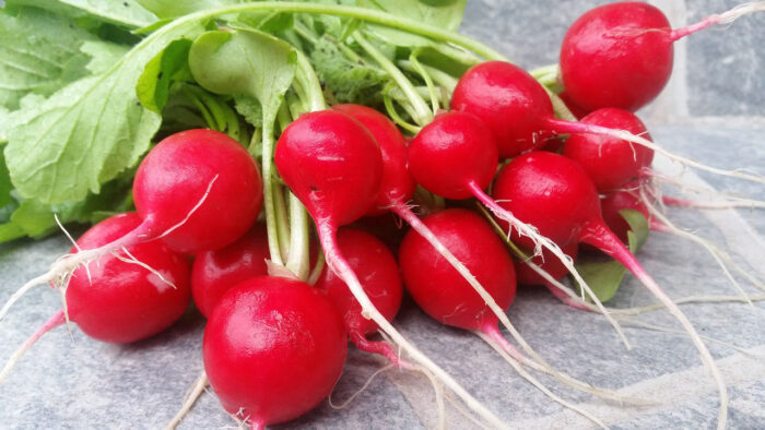Characteristics and fun facts about radish