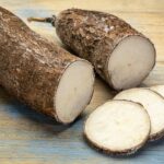 Characteristics of bitter cassava