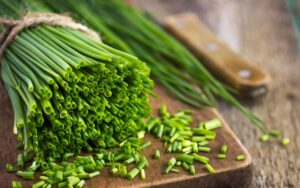 Chives