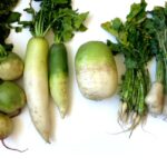 Daikon (White Radish) benefits and uses