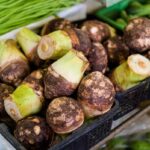 Malanga (Taro) - Properties, Benefits, Origin and More