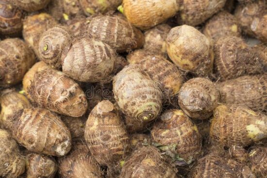 Nutritional properties of Malanga