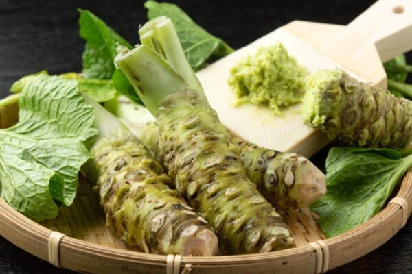 Nutritional properties of wasabi