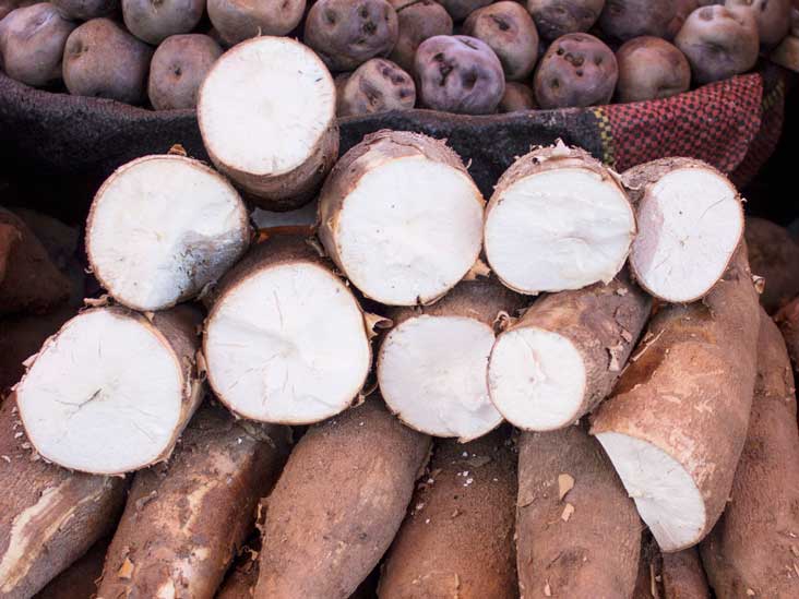 Nutritional value of cassava