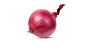 Onion
