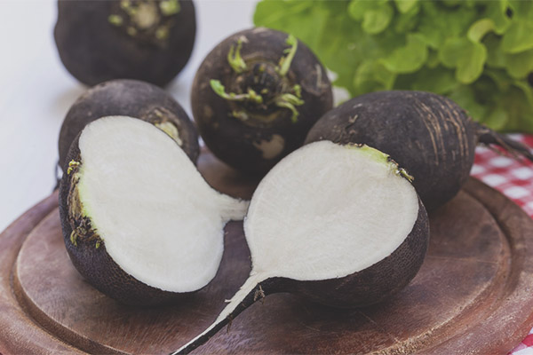 Properties and benefits of black radish for health