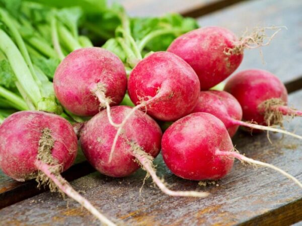 What is Radish