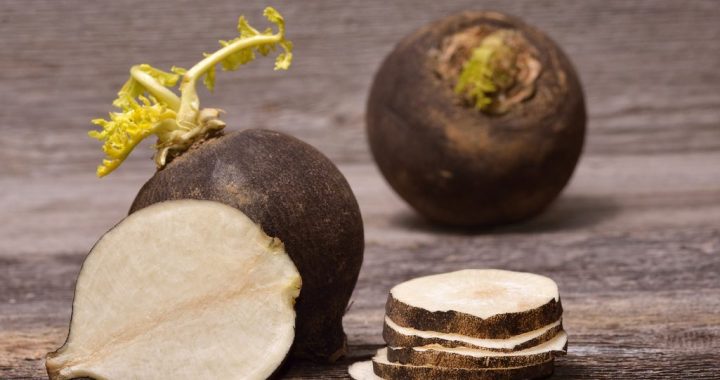 What is black radish