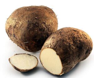 White yam