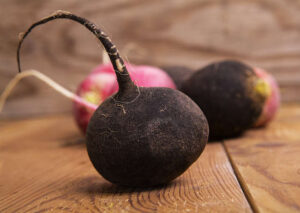 Black Radish